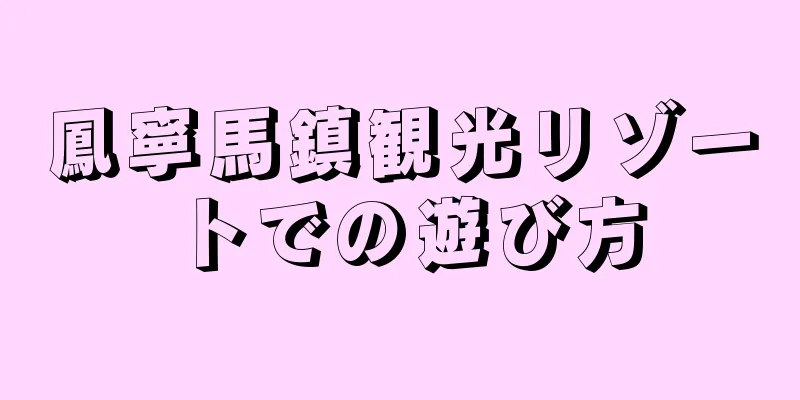 鳳寧馬鎮観光リゾートでの遊び方