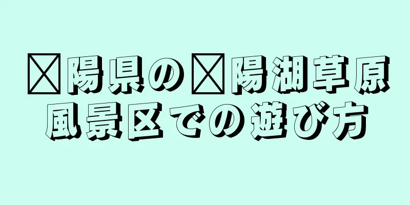 鄱陽県の鄱陽湖草原風景区での遊び方
