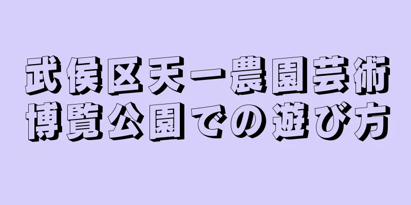 武侯区天一農園芸術博覧公園での遊び方