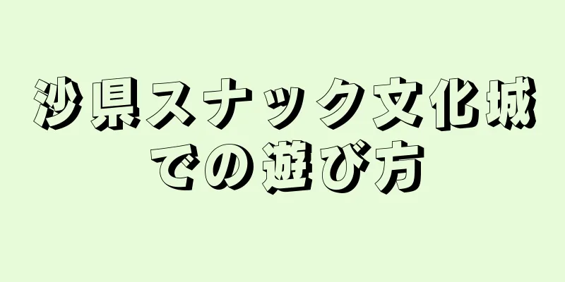 沙県スナック文化城での遊び方