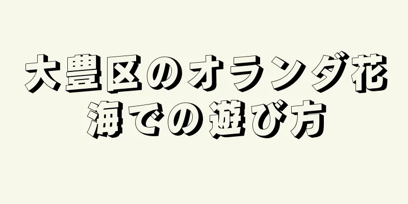 大豊区のオランダ花海での遊び方
