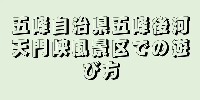 五峰自治県五峰後河天門峡風景区での遊び方