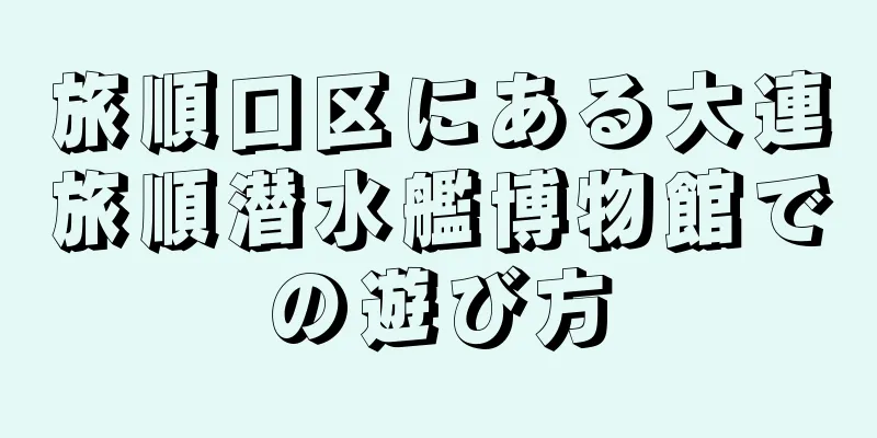 旅順口区にある大連旅順潜水艦博物館での遊び方