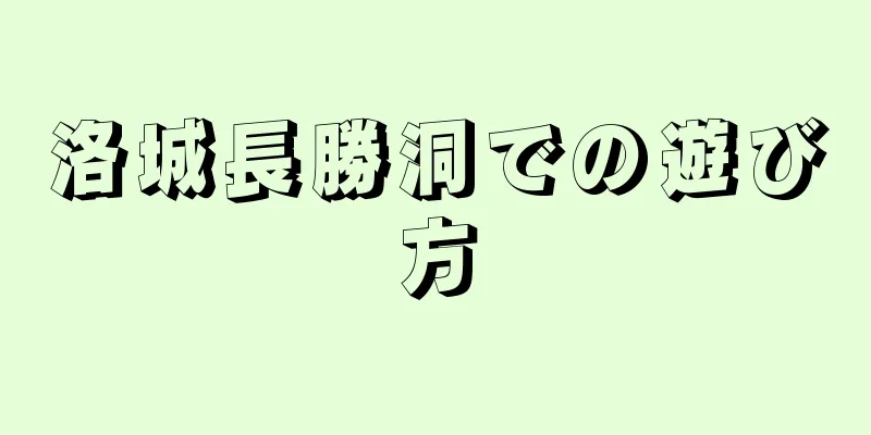 洛城長勝洞での遊び方