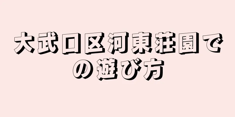 大武口区河東荘園での遊び方