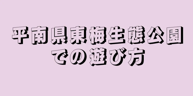 平南県東梅生態公園での遊び方