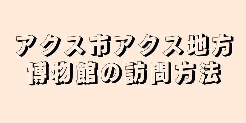 アクス市アクス地方博物館の訪問方法