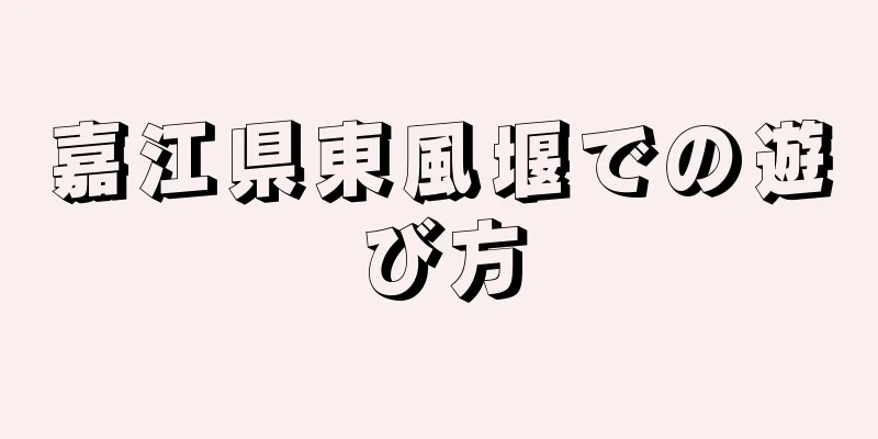 嘉江県東風堰での遊び方