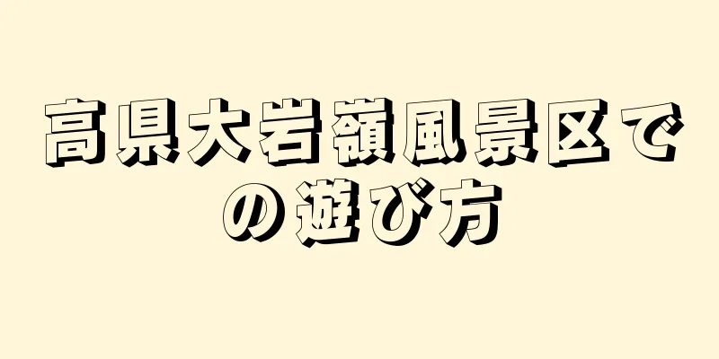 高県大岩嶺風景区での遊び方