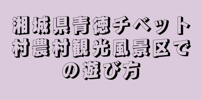湘城県青徳チベット村農村観光風景区での遊び方