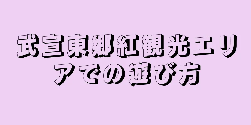武宣東郷紅観光エリアでの遊び方