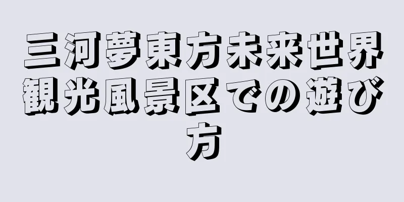 三河夢東方未来世界観光風景区での遊び方