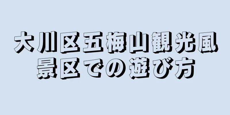 大川区五梅山観光風景区での遊び方