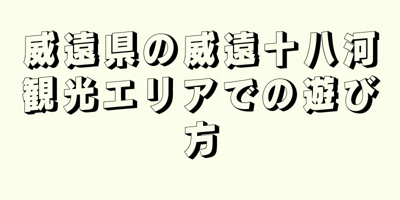 威遠県の威遠十八河観光エリアでの遊び方