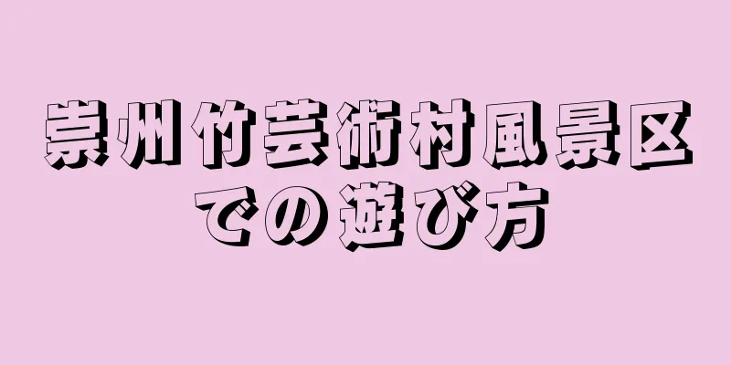 崇州竹芸術村風景区での遊び方
