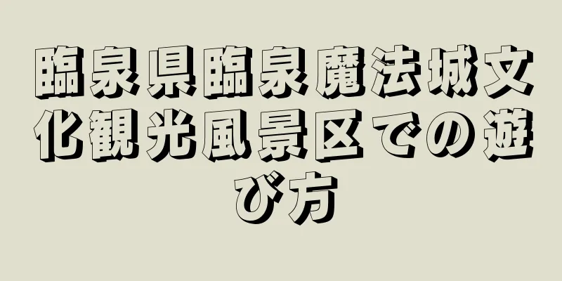 臨泉県臨泉魔法城文化観光風景区での遊び方