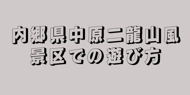 内郷県中原二龍山風景区での遊び方