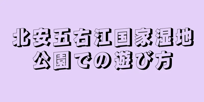 北安五右江国家湿地公園での遊び方