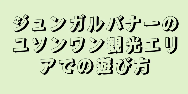 ジュンガルバナーのユソンワン観光エリアでの遊び方