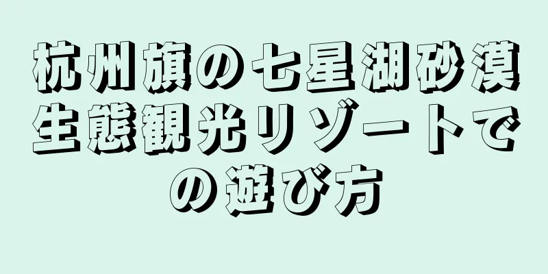 杭州旗の七星湖砂漠生態観光リゾートでの遊び方