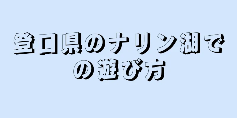 登口県のナリン湖での遊び方