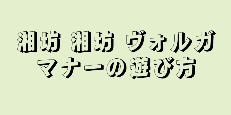 湘坊 湘坊 ヴォルガマナーの遊び方