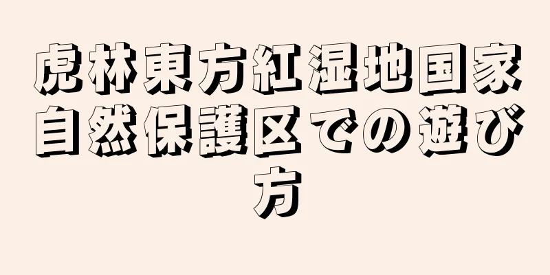 虎林東方紅湿地国家自然保護区での遊び方