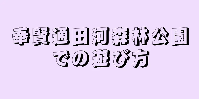 奉賢通田河森林公園での遊び方