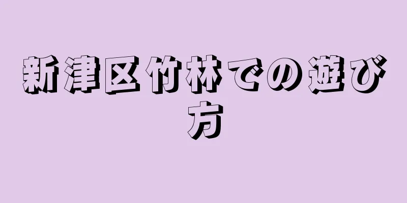 新津区竹林での遊び方