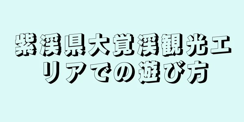 紫渓県大覚渓観光エリアでの遊び方