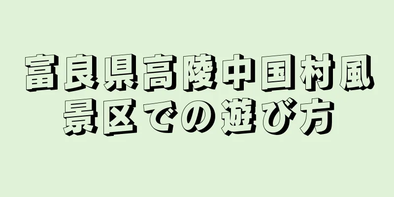 富良県高陵中国村風景区での遊び方
