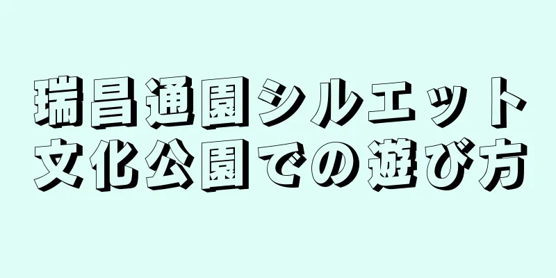 瑞昌通園シルエット文化公園での遊び方