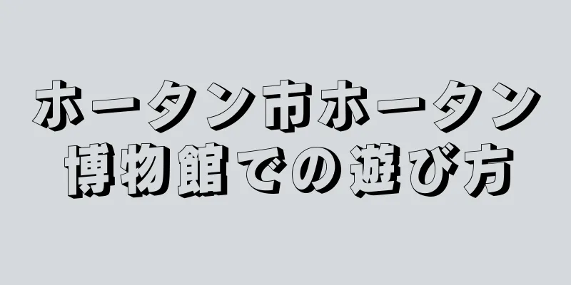 ホータン市ホータン博物館での遊び方
