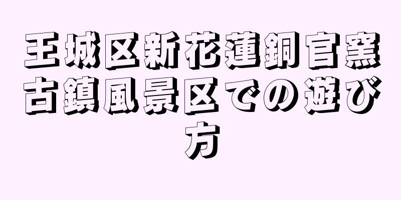王城区新花蓮銅官窯古鎮風景区での遊び方