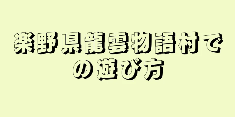 楽野県龍雲物語村での遊び方