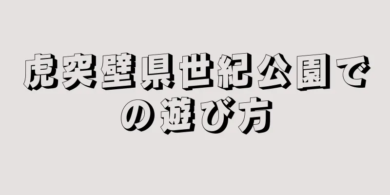 虎突壁県世紀公園での遊び方