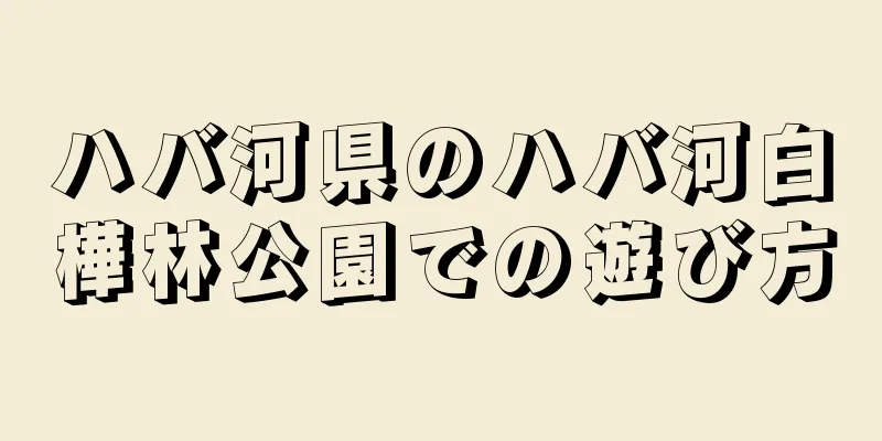 ハバ河県のハバ河白樺林公園での遊び方