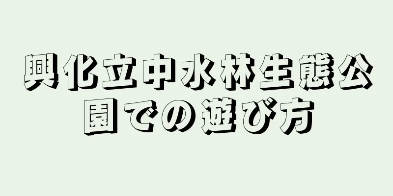 興化立中水林生態公園での遊び方