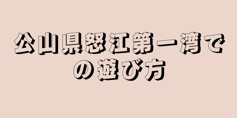 公山県怒江第一湾での遊び方