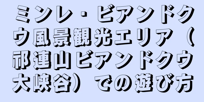 ミンレ・ビアンドクウ風景観光エリア（祁連山ビアンドクウ大峡谷）での遊び方