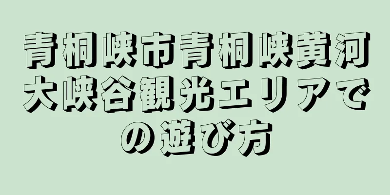 青桐峡市青桐峡黄河大峡谷観光エリアでの遊び方