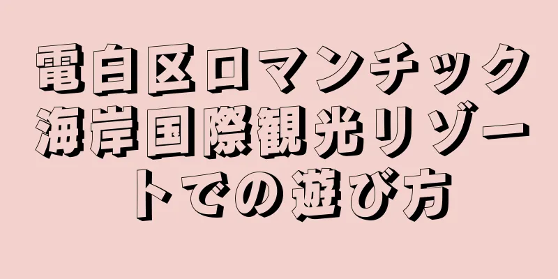 電白区ロマンチック海岸国際観光リゾートでの遊び方