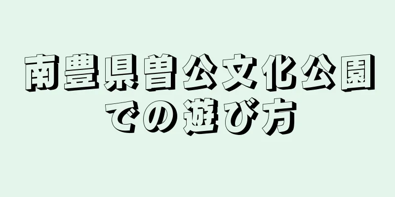 南豊県曽公文化公園での遊び方