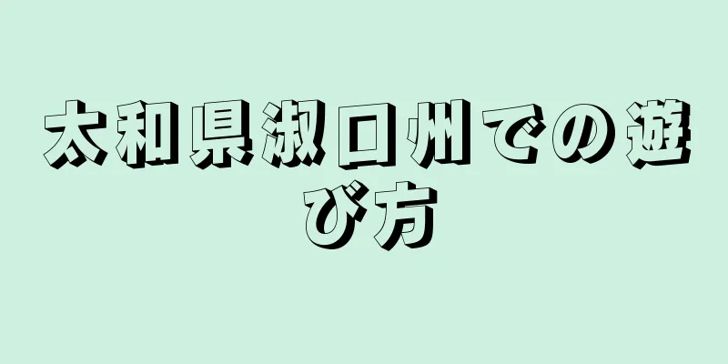 太和県淑口州での遊び方
