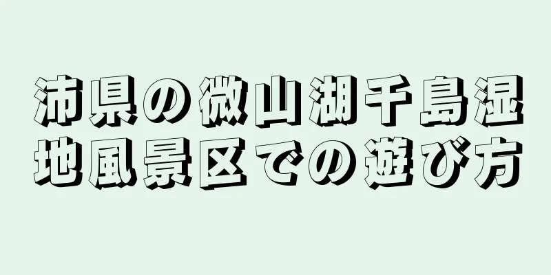 沛県の微山湖千島湿地風景区での遊び方