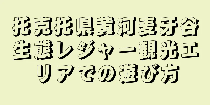 托克托県黄河麦牙谷生態レジャー観光エリアでの遊び方