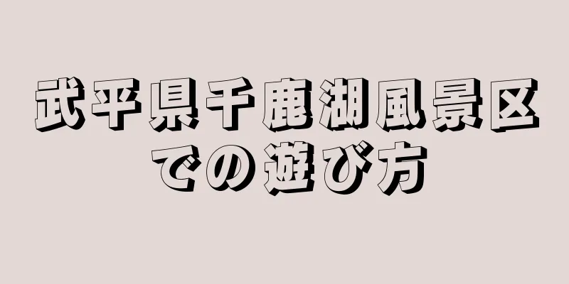 武平県千鹿湖風景区での遊び方
