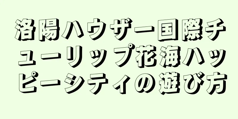 洛陽ハウザー国際チューリップ花海ハッピーシティの遊び方