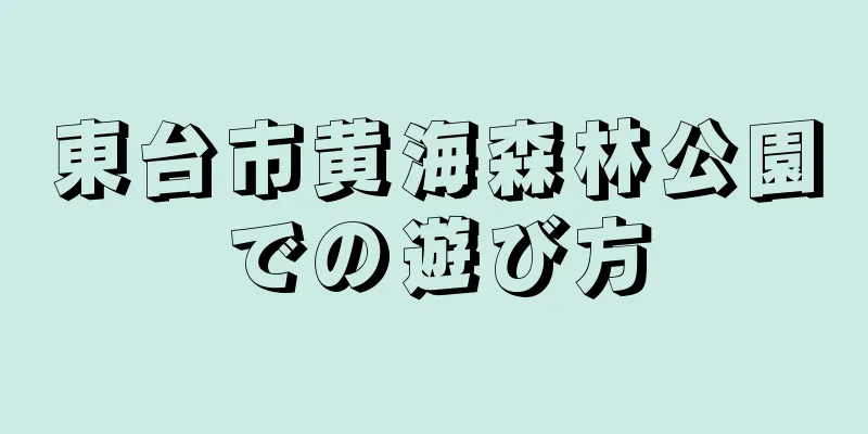 東台市黄海森林公園での遊び方