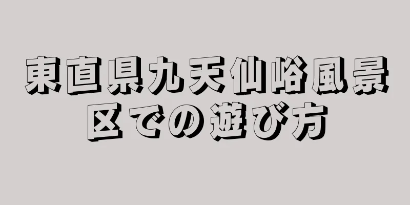 東直県九天仙峪風景区での遊び方